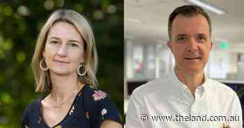 Community calls for 'milo' funds as review into youth crime protections begins