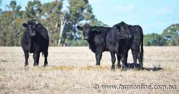 'Good, solid farm' is heading to public auction in the West Wimmera next month