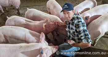 Pig farmer halves electricity bills by using biogas to power his piggeries