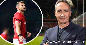 New WRU boss tells Dan Biggar about Wales' next coach and might call him for help
