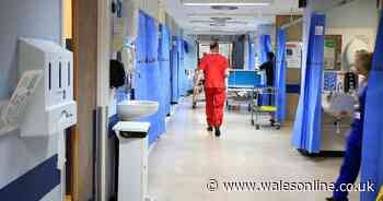 Welsh hospitals shut wards after norovirus outbreak