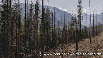 „Keine Entwarnung“: Diese Klima-Hausaufgaben hat Schwarz-Rot