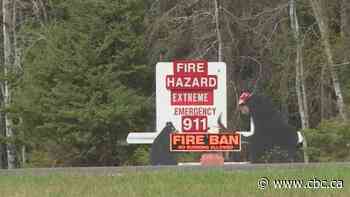 Candle Lake issues pre-evacuation alert as 3 fires burn nearby