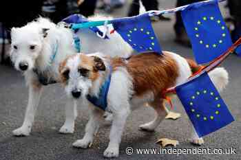 UK requests return to EU’s freedom of movement – for pets