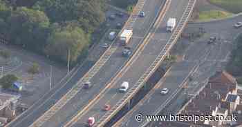 Live: M32 traffic stopped with loose horse on the motorway