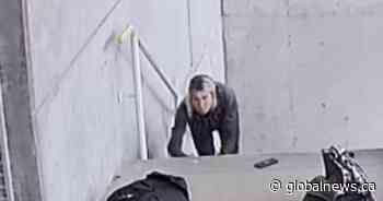 Video captures woman stealing teen’s backpack at Port Moody school
