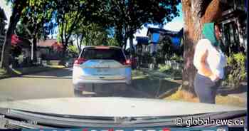 ‘How can she trust another stranger?’ Distraction theft shatters B.C. grandmother