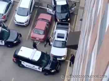 'Heat of the moment': Edmonton police officer reprimanded for shoving car chase suspect's head into wall