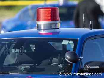 Toledo man killed in crash in Michigan