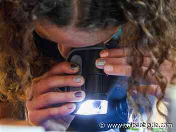 High school students can learn about cold cases at summer camp