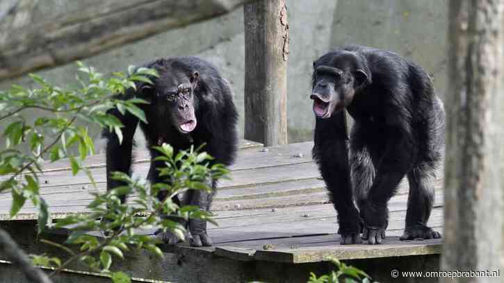 Leerlingen vliegen elkaar in de haren in Beekse Bergen, politie grijpt in