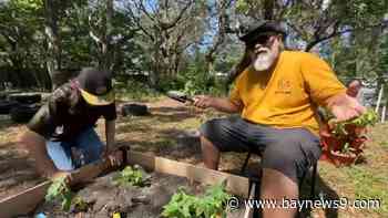 Healing Fields offers a different approach to veteran mental health