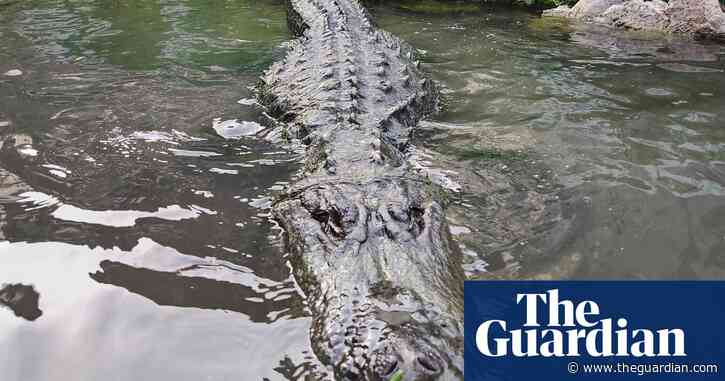 Morris the alligator, known for Happy Gilmore and other films, dies around age 80