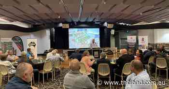 Farm forestry, carbon and koalas together to support jobs argues industry