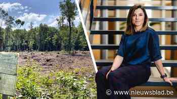 Na 15 jaar procederen dan toch woonproject in Genk: “Eén klagende buur heeft ons 500.000 euro extra gekost”