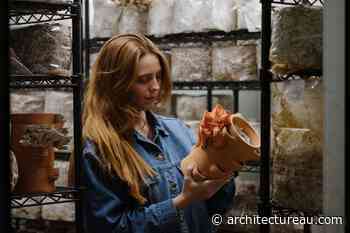 Powerhouse opens entries for $25,000 sustainable design award