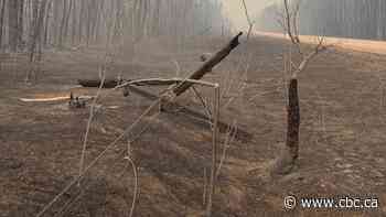 Closures and disruptions caused by the wildfires in Manitoba