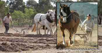 Almost 20 years on, meet the first woman to win the prestigious Golden Plough