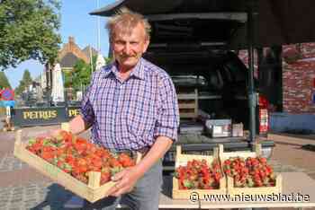 Paul Van Severen (69) houdt de hoop op 100 jaar Beerveldse aardbeienmarkt levend: “Voor jonge mensen loont dit niet meer”