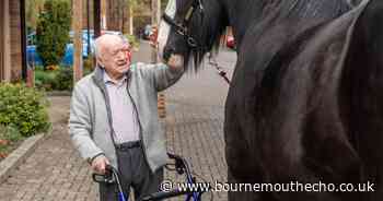 Shire horse pays surprise visit to care home resident