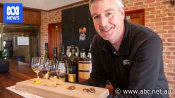 Insects with your wine? Vineyard's bid to capitalise on growing trend