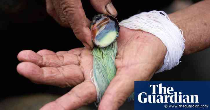 ‘We sometimes milked 3,000 snails a day!’: the dying art of milking molluscs