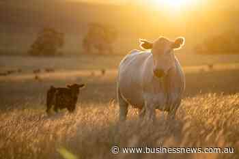 Opinion: Maintaining the free market