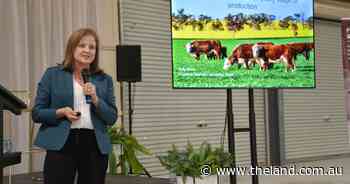 Bovine Respiratory Disease just as much of a problem in cattle on farm