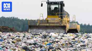 Bin collection in jeopardy as NSW waste crisis looms, minister says