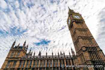 MPs urge delay to 'family farm tax' as trust in government crumbles