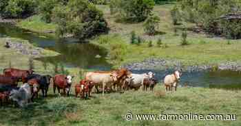 Valley cattle property calling for offers of more than $10 million | Video