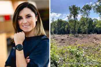 Na vijftien jaar procederen komt woonproject er toch: “Eén klagende buur heeft ons 500.000 euro extra gekost”