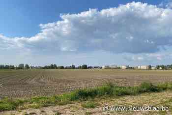 Schepencollege weigert grote verkaveling van 79 woningen: “Gebied expliciet aangeduid als niet-ontwikkelbaar”