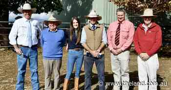 Stud record set, strong northern demand underpins Rosedale Charolais sale