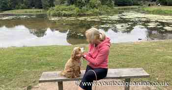 Dog walkers warned of walking in fields after woman charged in horror attack