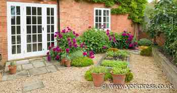 Expert shares best time to water your plants on a hot day