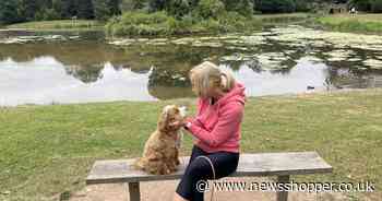 Dog walkers warned of walking in fields after woman charged in horror attack