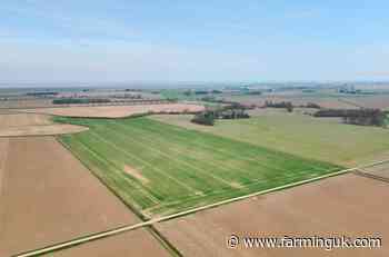 Crown Estate unveils 15-year tenancies to drive regenerative farming