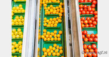 Mexicaanse telers strijden tegen Amerikaanse heffing van 17% op tomaten