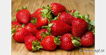 Hoe zijn aardbeien het beste te bewaren?