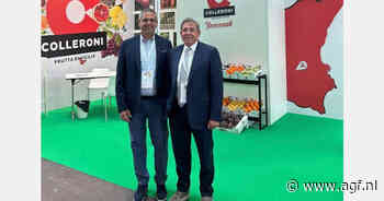 Goede vooruitzichten Siciliaans druivenseizoen