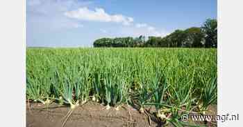 "Erken Nederlandse voedselzekerheid als geopolitieke troef"