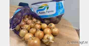 "Door stijgende prijs Hollandse uien is het gat naar de kostprijs vanuit Nieuw-Zeeland veel kleiner geworden"