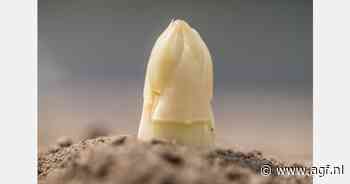 Zonnig weer geeft nieuwe impuls aan Duits aspergeseizoen