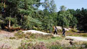 Wandern in der Nähe: Ein Ausflug zwischen Maas, Schwalm und Nette