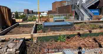 Rooftop bar with cocktails and pizzas to return to Sutton this weekend