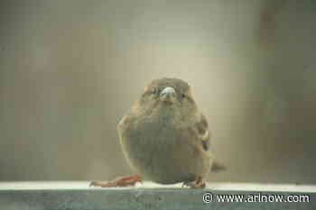 Morning Notes for May 16, 2025