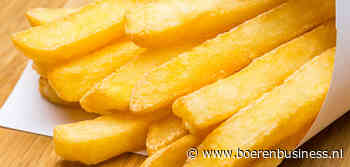 Aardappelverwerkers bakken ze bruin