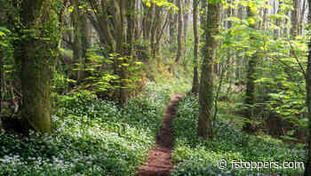 Real-World Landscape Tips That Actually Work