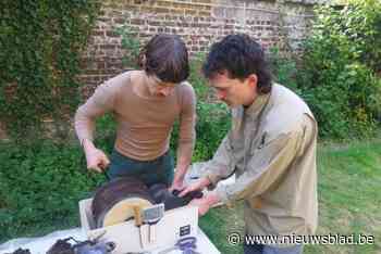 Brusselse kunstenaars openen deuren tijdens Atelier in Beeld: “Kunstenaars vormen de hartslag van onze stad en moeten we zo goed mogelijk blijven ondersteunen”